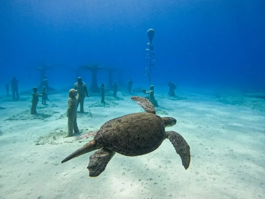 Eine Schildkröte schwimmt an menschlichen Figuren und Baumskulpturen im MUSAN vorbei.