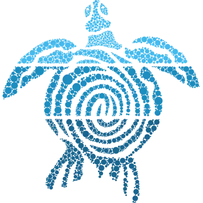 Turtle Logo