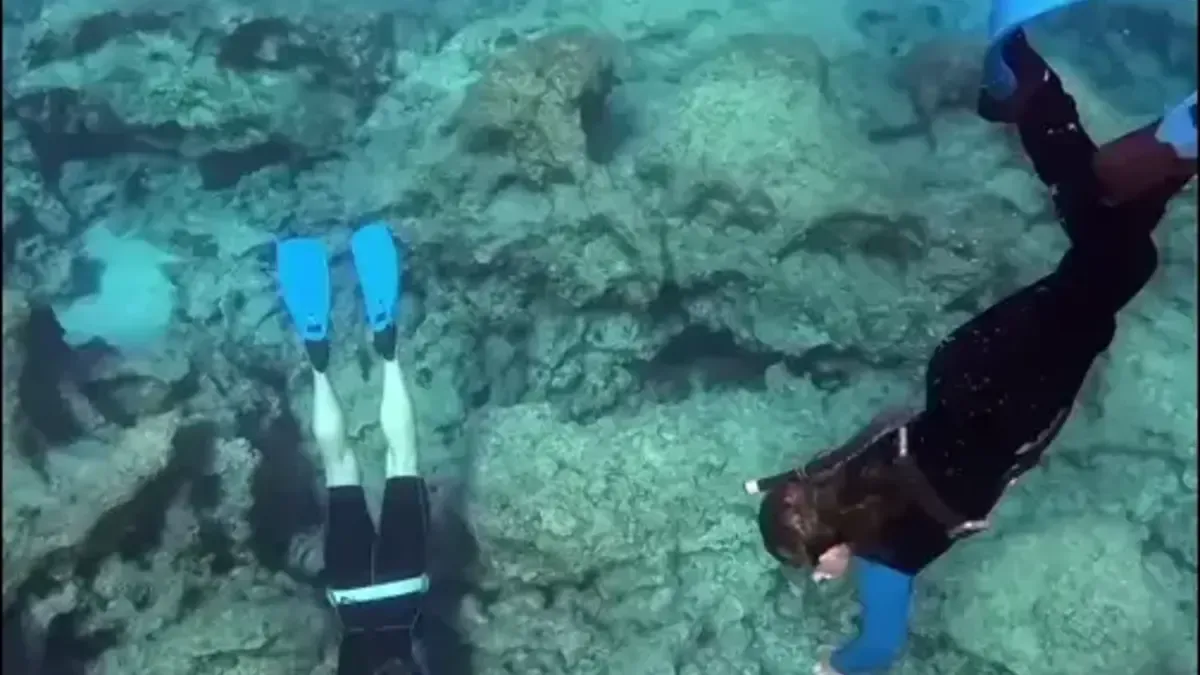 Plavci pri pohľade zhora nad skalnatým dnom v Green Bay